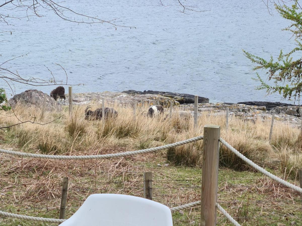 The Bay ,Luxury Shepherds Hut, Dundonnell Eksteriør billede